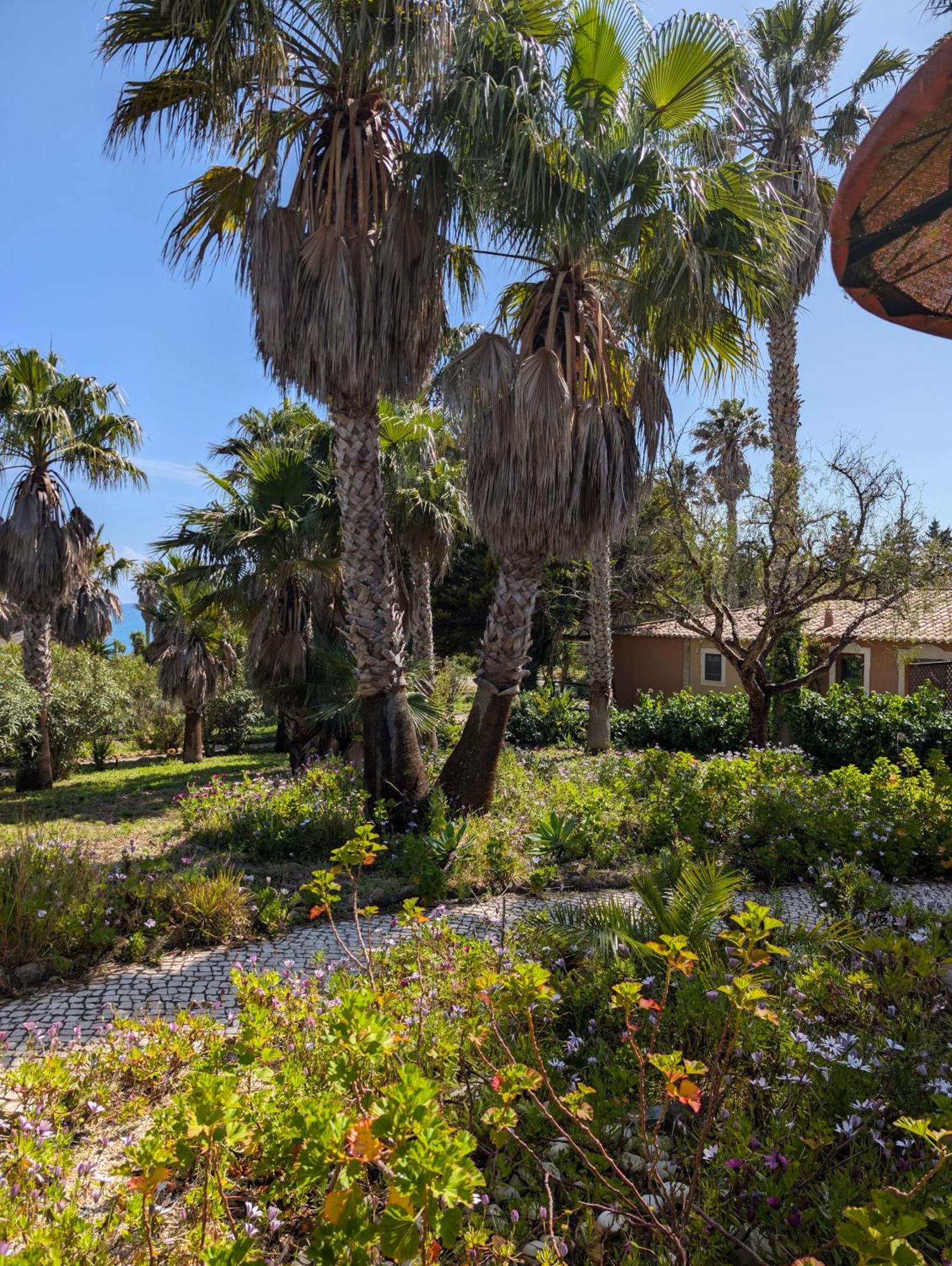 Senhora da Luz Quinta Do Mar - Country & Sea Village מראה חיצוני תמונה